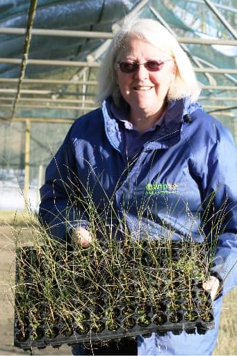 Linda Laxton holding a tray of plug plants at the nursery