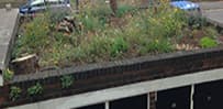 Wildflowers growing on a green roof above garage doors
