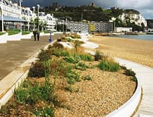 Planted beds on the shingle beside the promenade at Dover