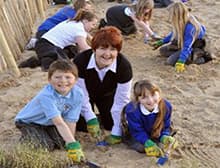 Children planting coastal grasses on the dunes at Sandhaven Beach