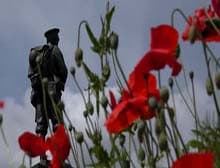 Red poppies in front of a soldier statue at the Telford Remembrance Memorial